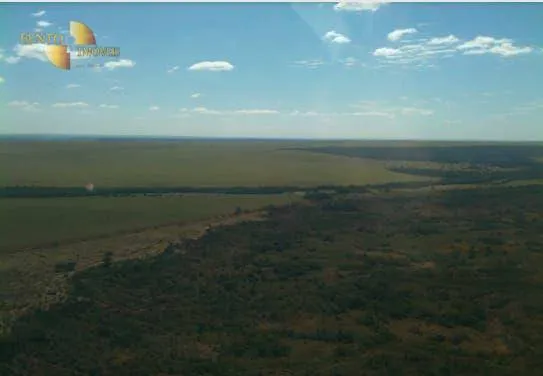 Fazenda à venda de 7.800 ha em Nova Mutum, MT, Brasil