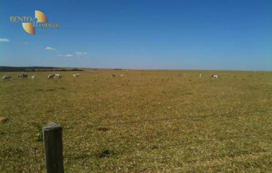 Fazenda à venda de 7.800 ha em Nova Mutum, MT, Brasil