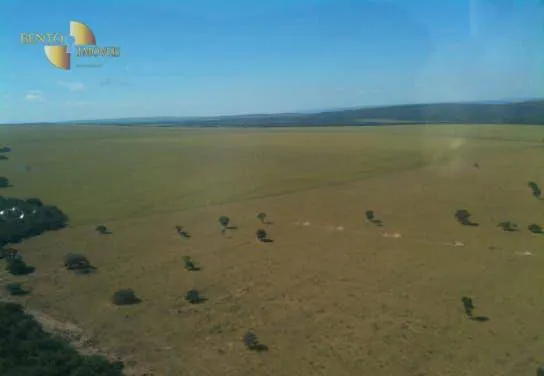 Fazenda à venda de 7.800 ha em Nova Mutum, MT, Brasil