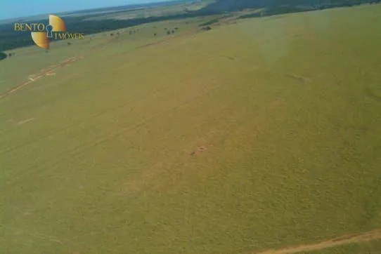 Fazenda à venda de 7.800 ha em Nova Mutum, MT, Brasil