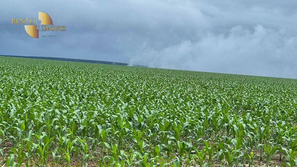 Fazenda à venda de 7.800 ha em Nova Mutum, MT, Brasil