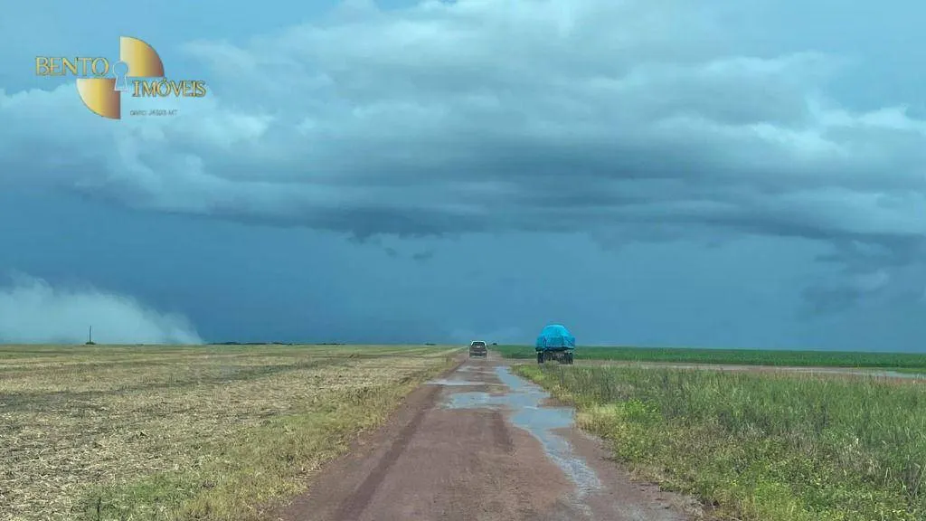 Fazenda à venda de 7.800 ha em Nova Mutum, MT, Brasil