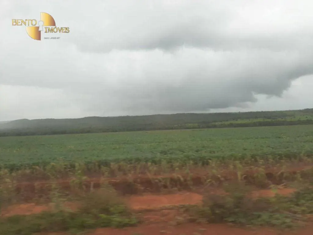 Fazenda à venda de 7.800 ha em Nova Mutum, MT, Brasil