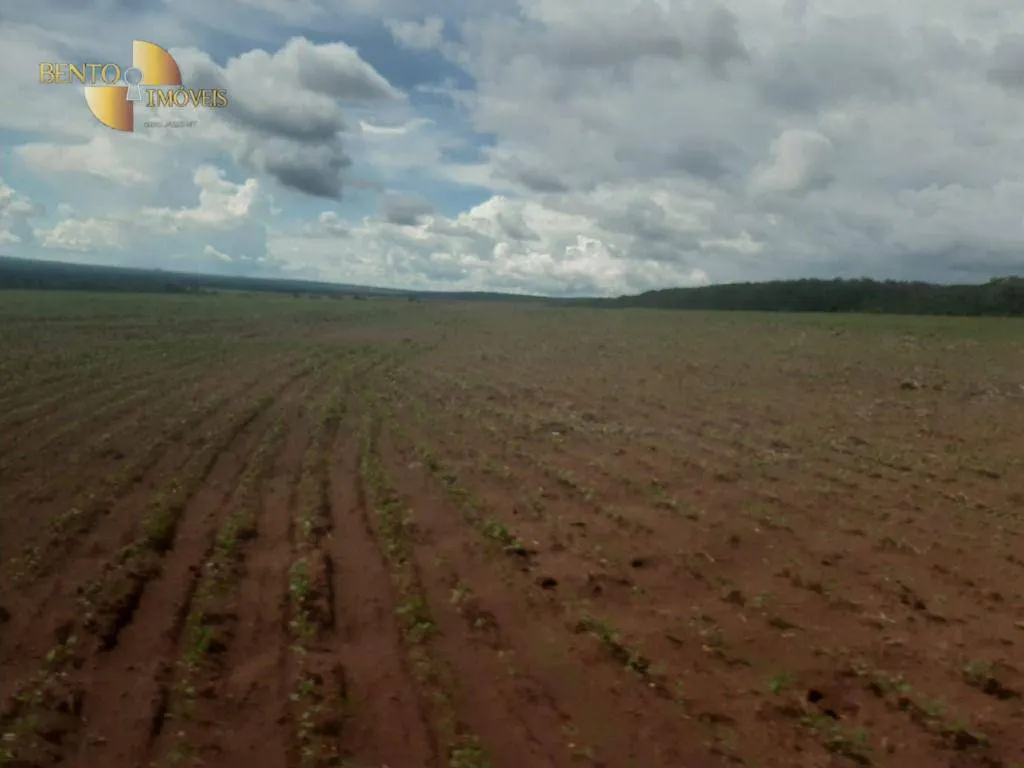 Fazenda à venda de 7.800 ha em Nova Mutum, MT, Brasil