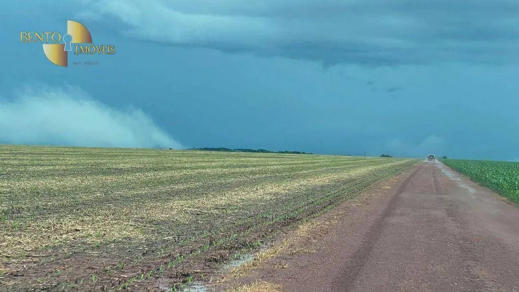 Fazenda à venda de 7.800 ha em Nova Mutum, MT, Brasil