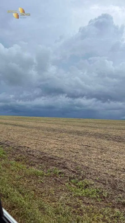 Fazenda à venda de 7.800 ha em Nova Mutum, MT, Brasil