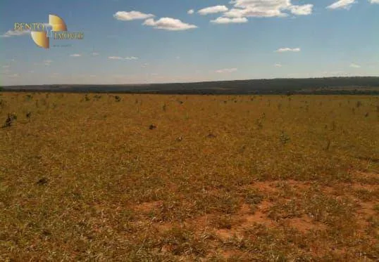 Fazenda à venda de 7.800 ha em Nova Mutum, MT, Brasil