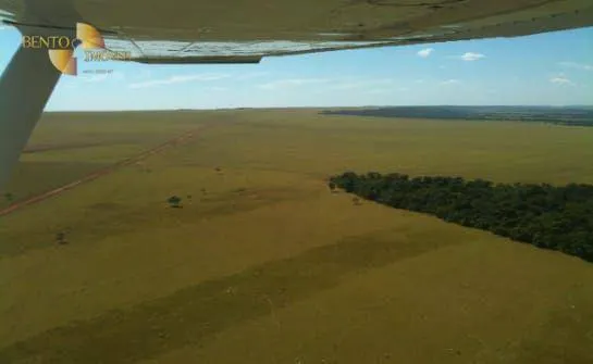 Fazenda à venda de 7.800 ha em Nova Mutum, MT, Brasil
