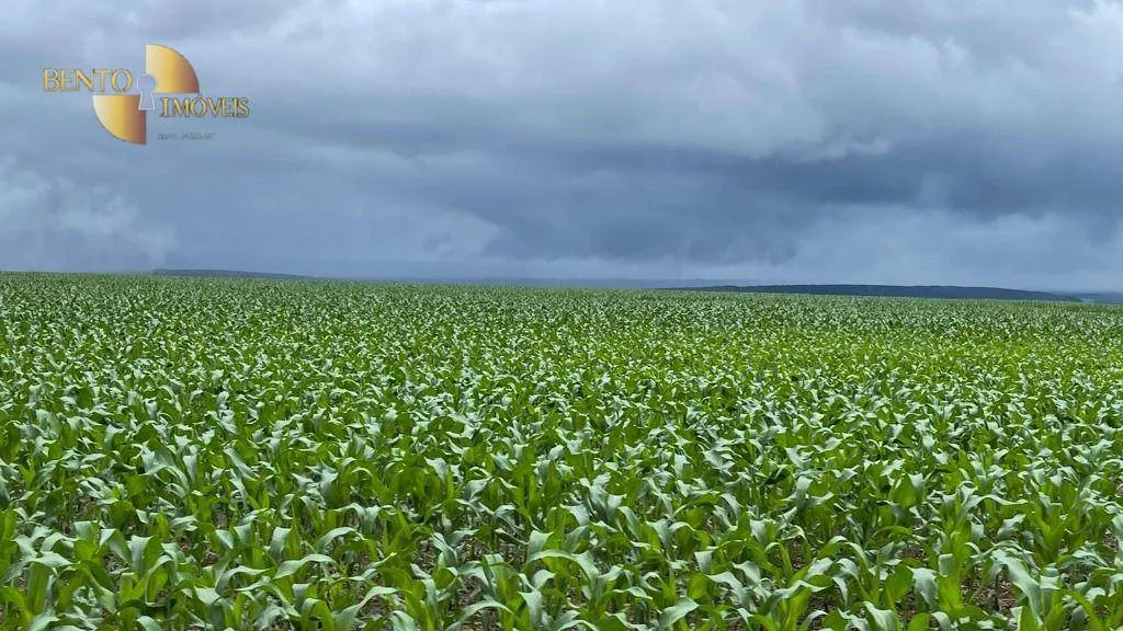 Fazenda à venda de 7.800 ha em Nova Mutum, MT, Brasil