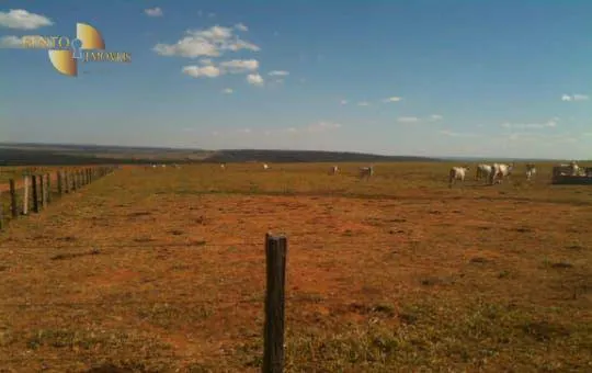 Fazenda à venda de 7.800 ha em Nova Mutum, MT, Brasil