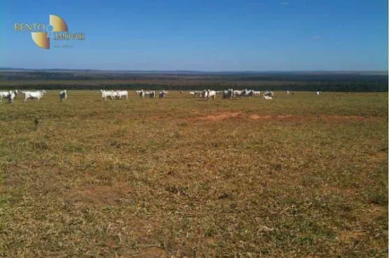 Fazenda à venda de 7.800 ha em Nova Mutum, MT, Brasil