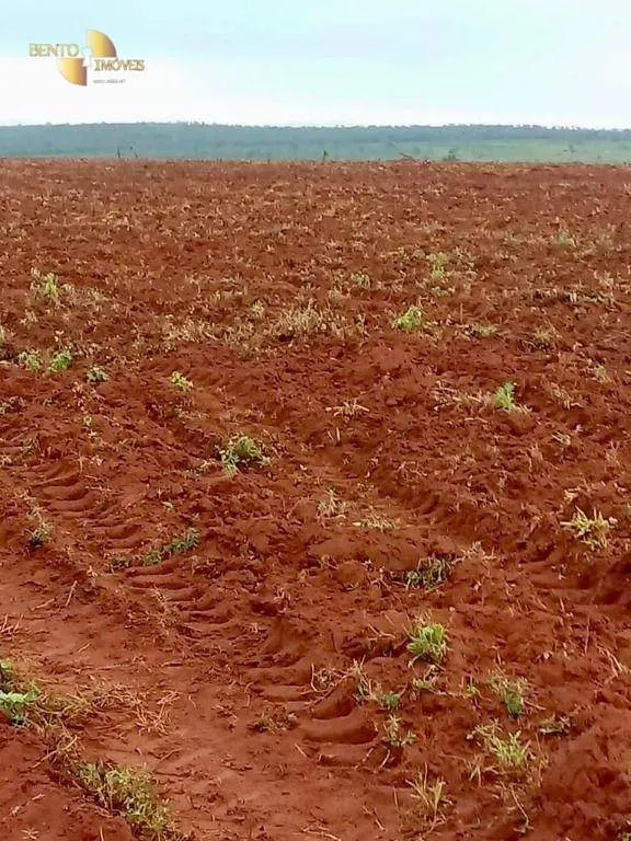 Farm for sale of 8,797 acres in Barra do Garças, MT, Brazil