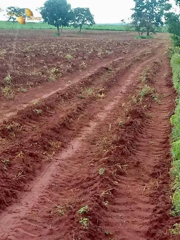 Farm for sale of 8,797 acres in Barra do Garças, MT, Brazil