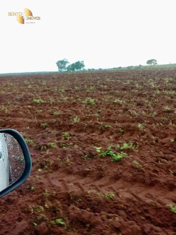 Farm for sale of 8,797 acres in Barra do Garças, MT, Brazil