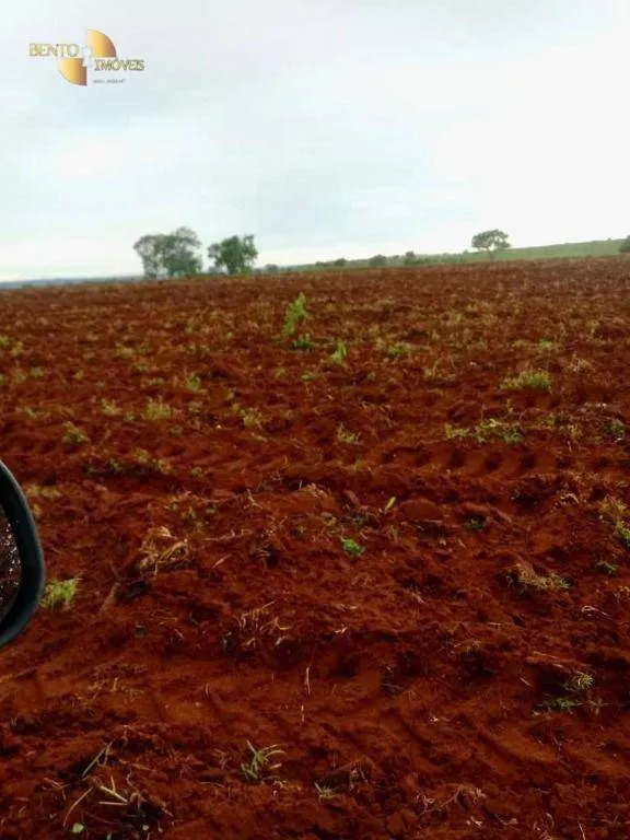 Farm for sale of 8,797 acres in Barra do Garças, MT, Brazil