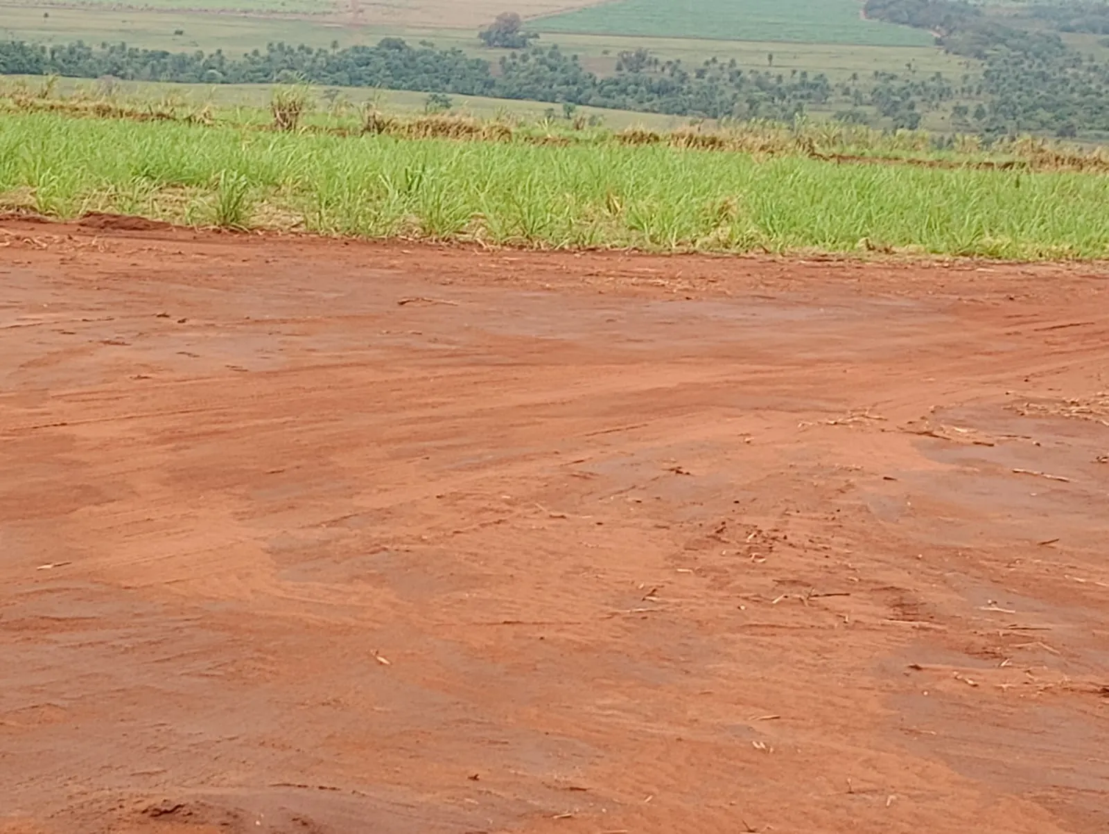 Fazenda para Arrendar de 1.210 ha em Teodoro Sampaio, SP, Brasil