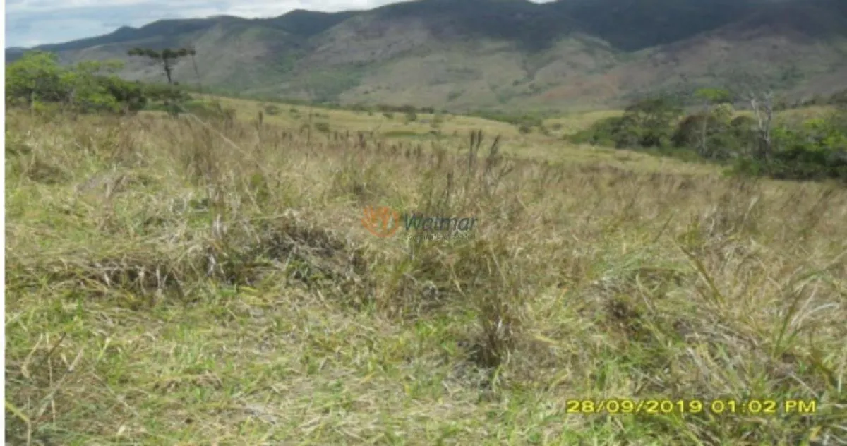 Fazenda à venda de 500 ha em Avaré, SP, Brasil