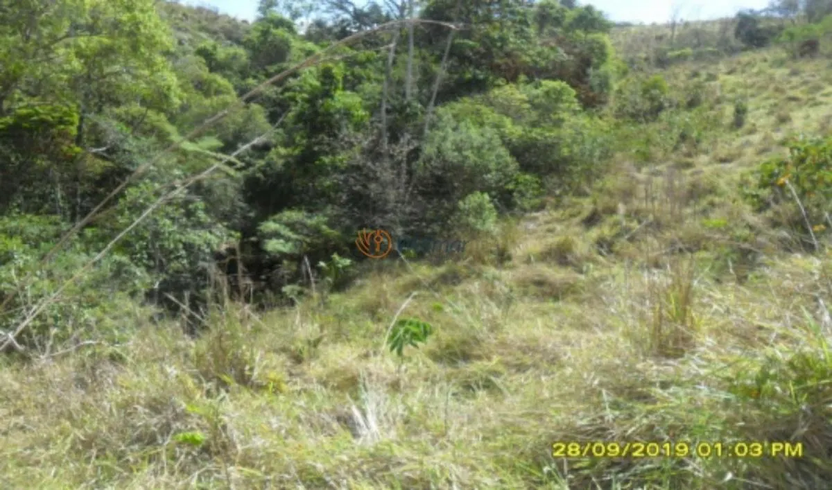 Fazenda à venda de 500 ha em Avaré, SP, Brasil