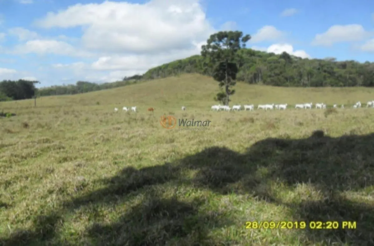 Fazenda à venda de 500 ha em Avaré, SP, Brasil