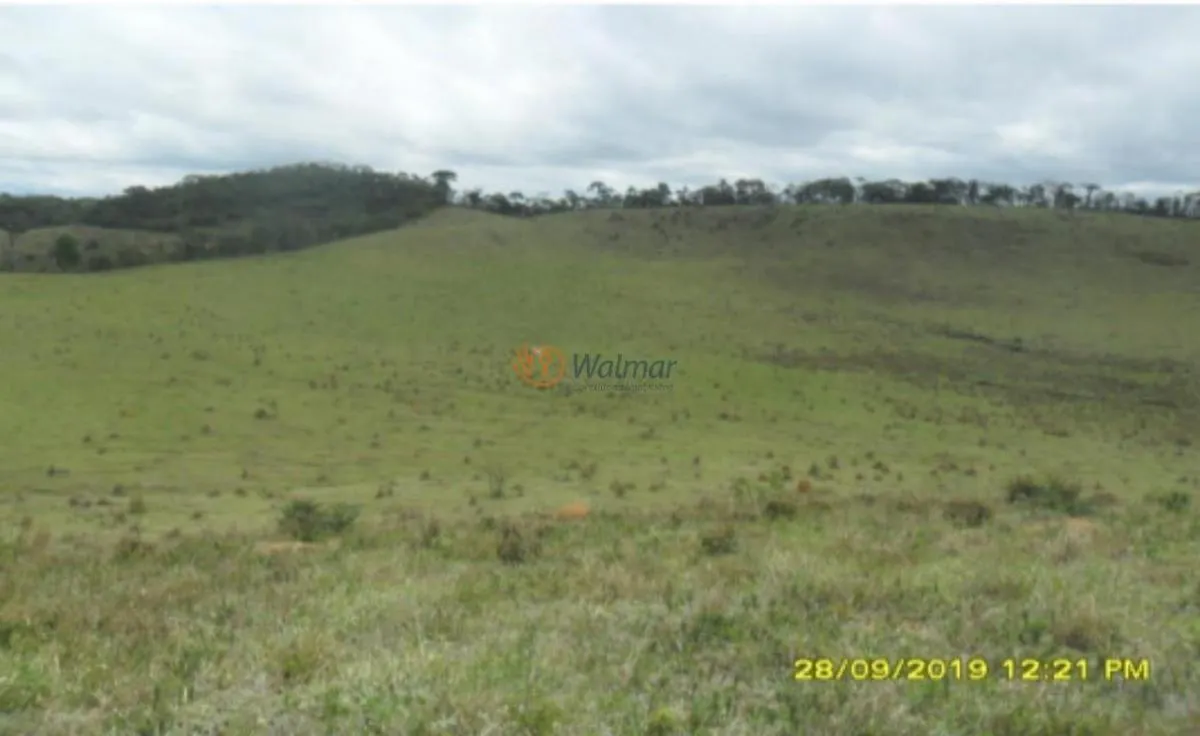 Fazenda à venda de 500 ha em Avaré, SP, Brasil