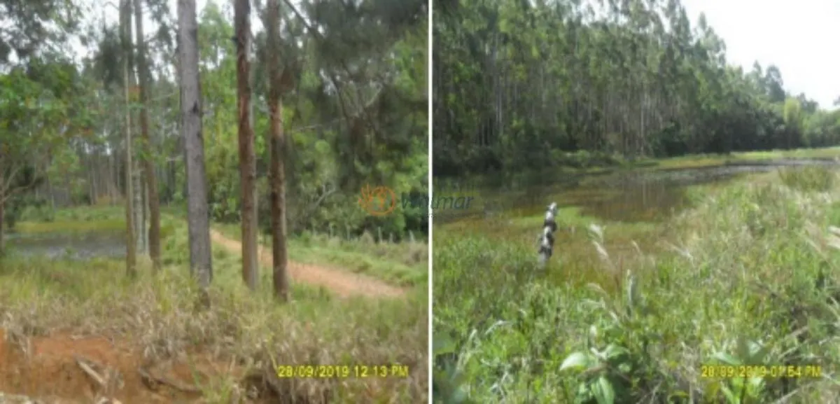 Fazenda à venda de 500 ha em Avaré, SP, Brasil