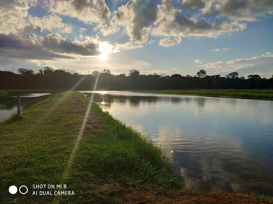 Fazenda à venda de 100 ha em Porto Velho, RO, Brasil