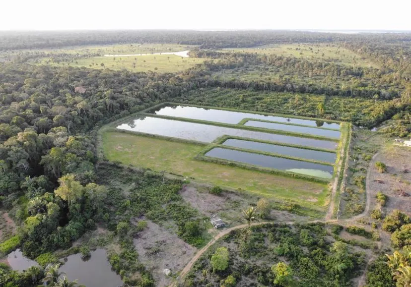 Fazenda à venda de 100 ha em Porto Velho, RO, Brasil