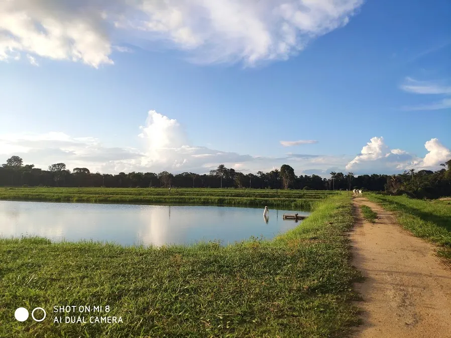 Fazenda à venda de 100 ha em Porto Velho, RO, Brasil