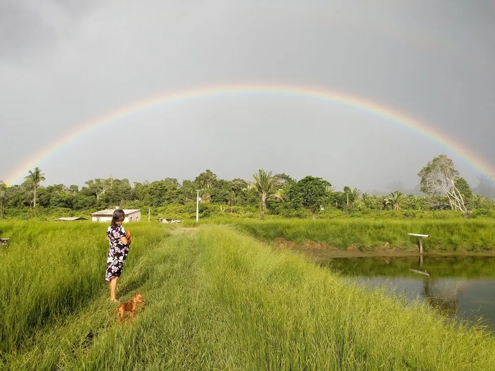 Fazenda à venda de 100 ha em Porto Velho, RO, Brasil