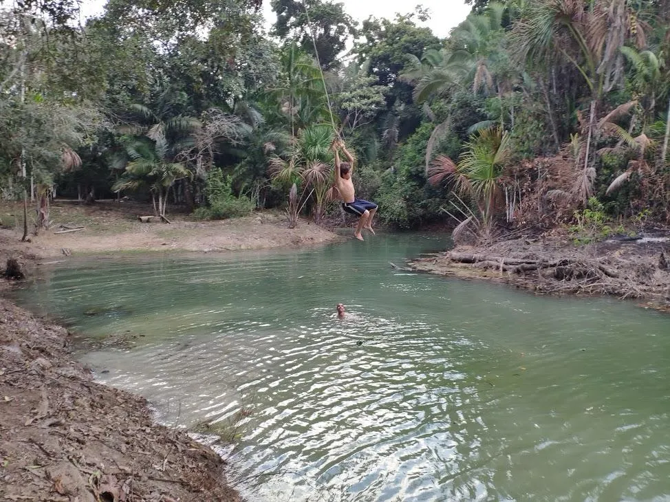 Fazenda à venda de 100 ha em Porto Velho, RO, Brasil