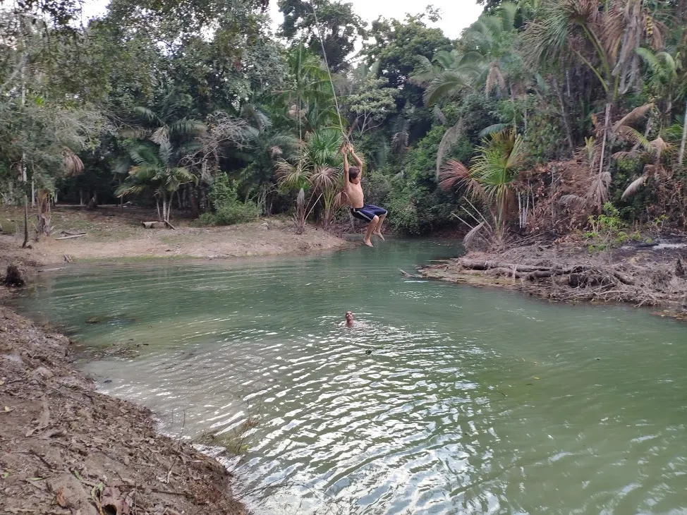 Fazenda à venda de 100 ha em Porto Velho, RO, Brasil