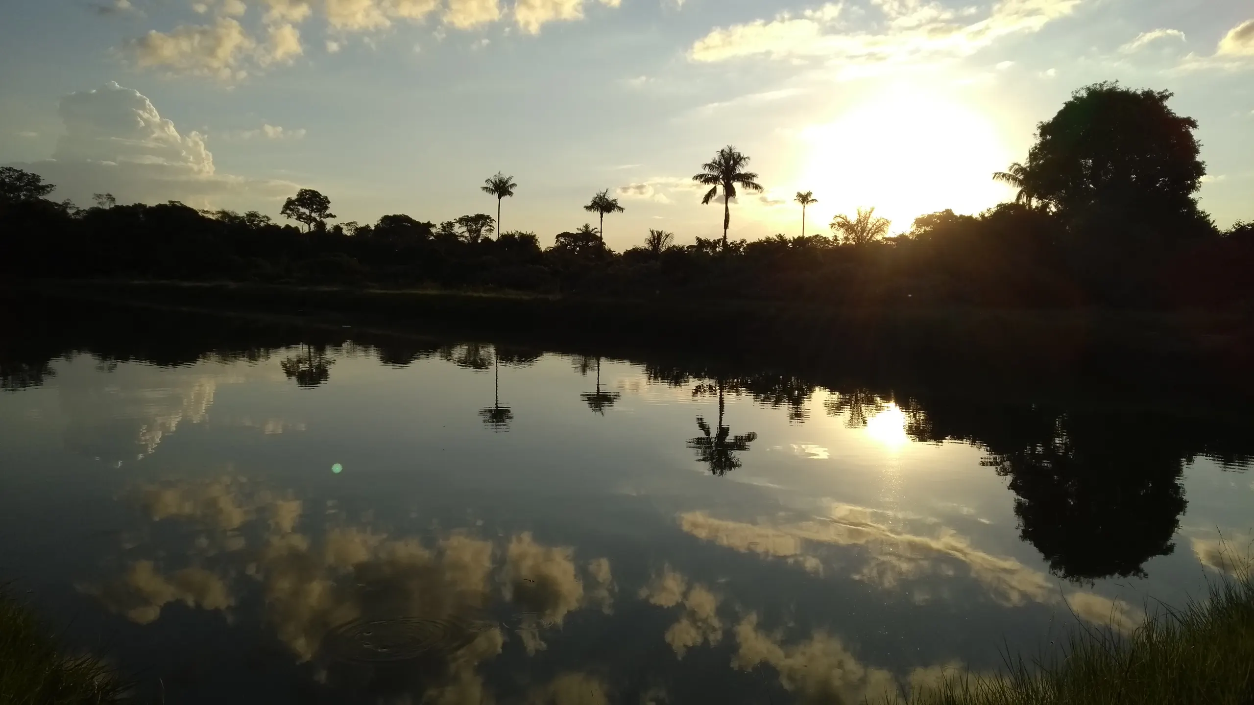 Fazenda à venda de 100 ha em Porto Velho, RO, Brasil