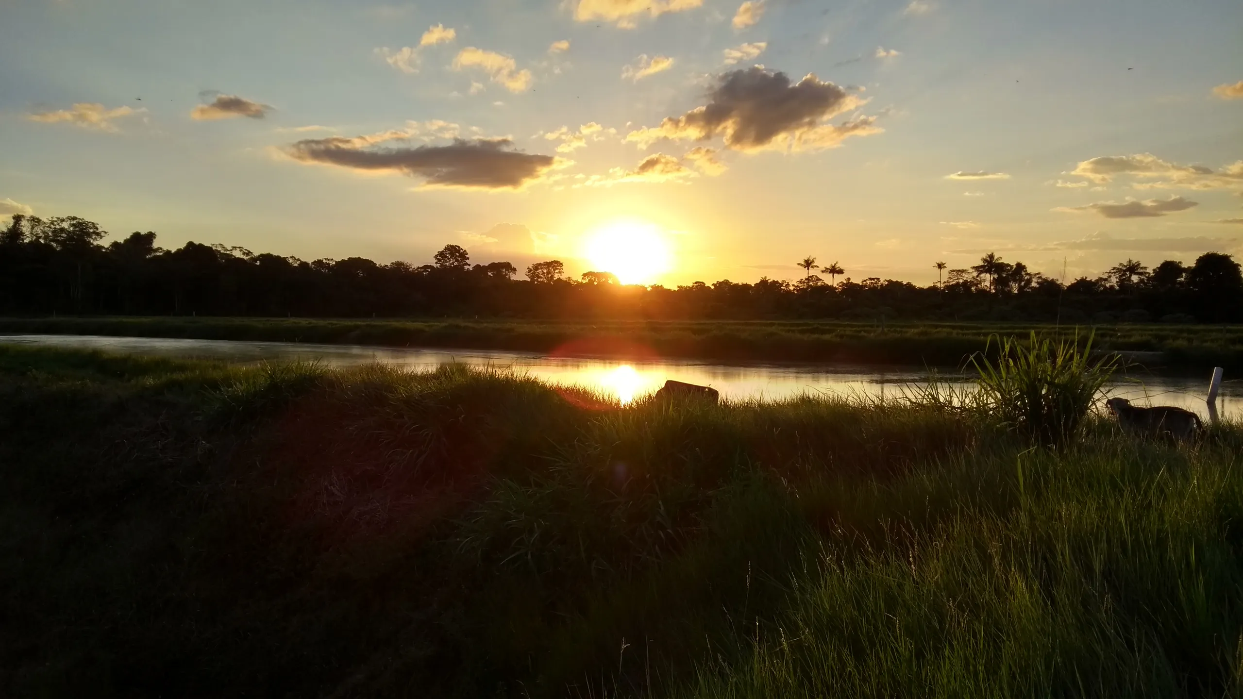 Fazenda à venda de 100 ha em Porto Velho, RO, Brasil