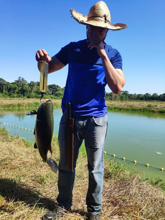 Fazenda à venda de 100 ha em Porto Velho, RO, Brasil