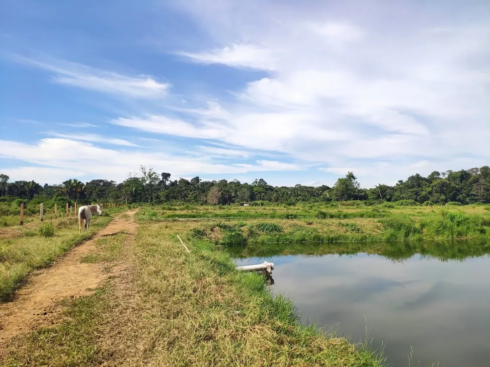 Fazenda à venda de 100 ha em Porto Velho, RO, Brasil