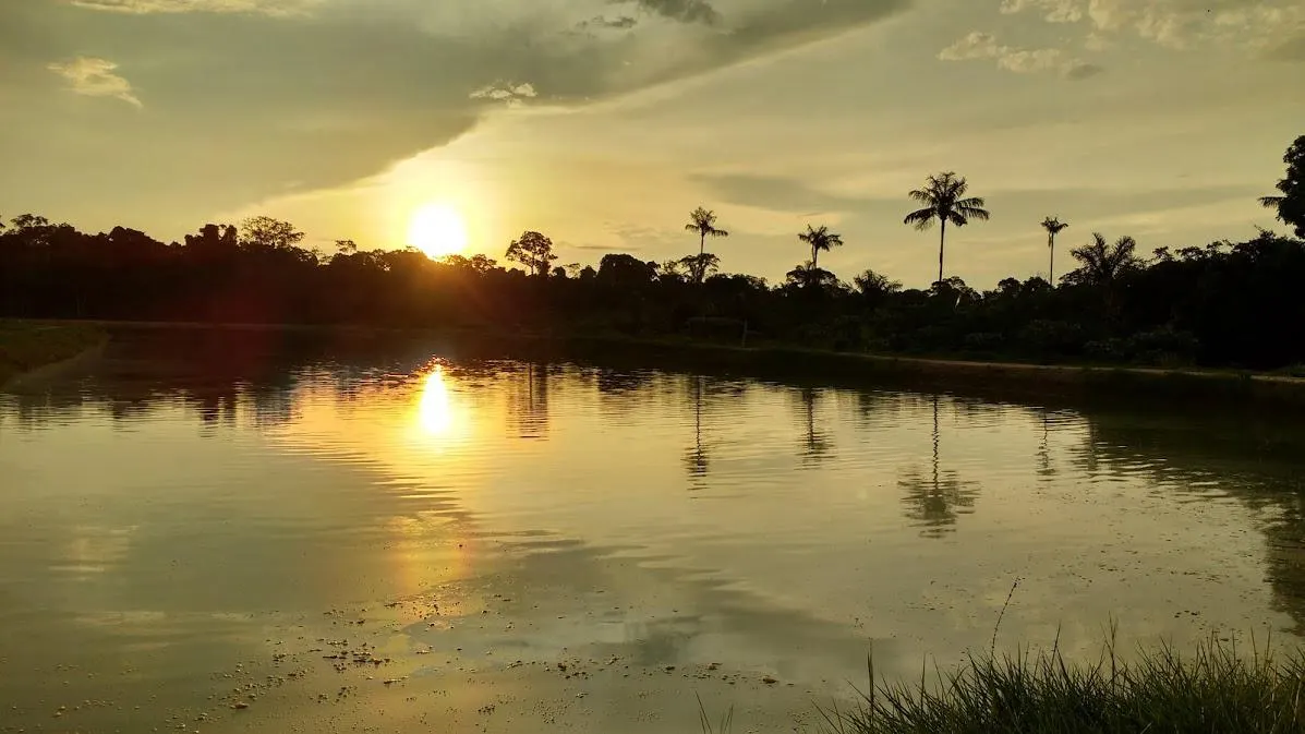 Fazenda à venda de 100 ha em Porto Velho, RO, Brasil