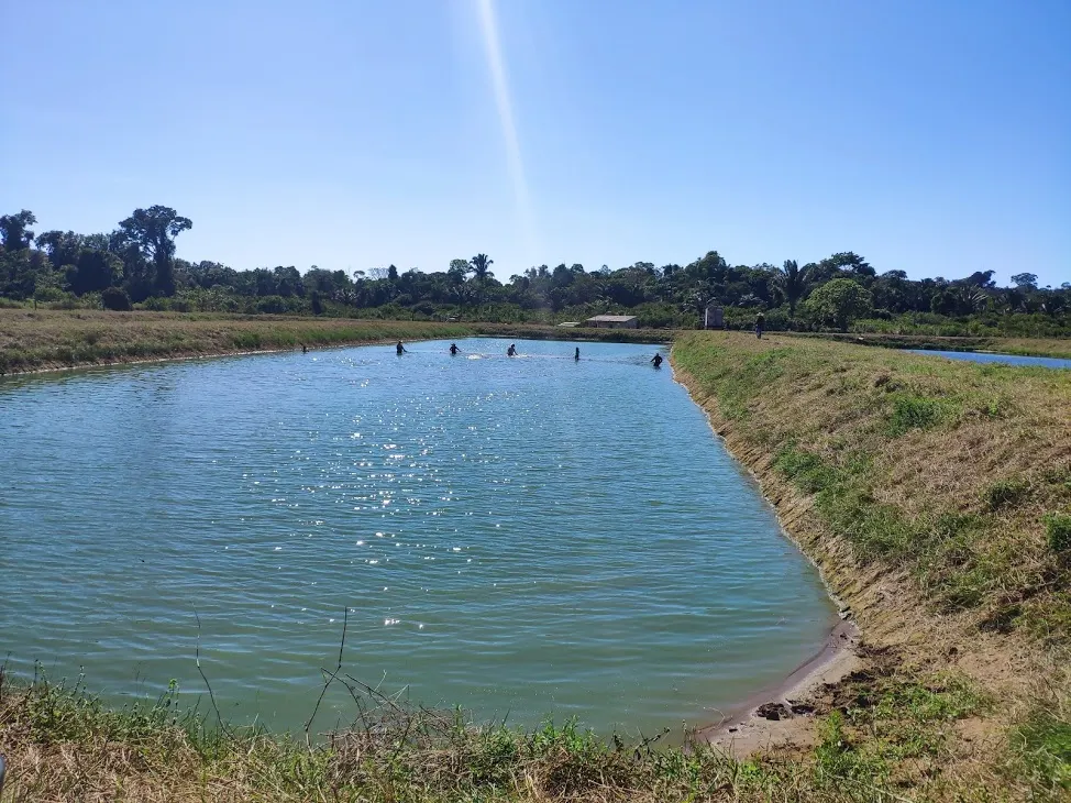 Fazenda à venda de 100 ha em Porto Velho, RO, Brasil
