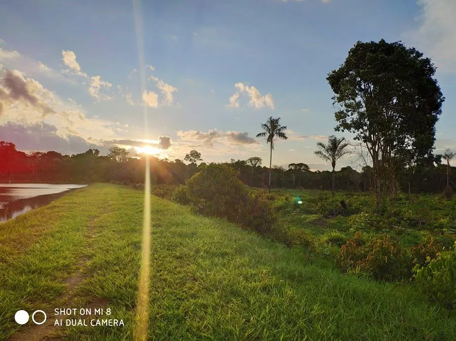 Fazenda à venda de 100 ha em Porto Velho, RO, Brasil