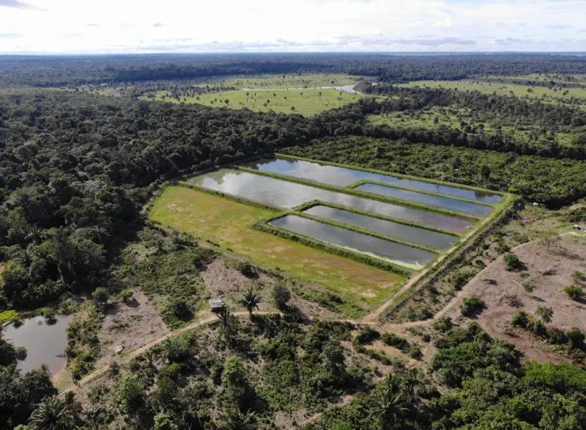 Fazenda à venda de 100 ha em Porto Velho, RO, Brasil