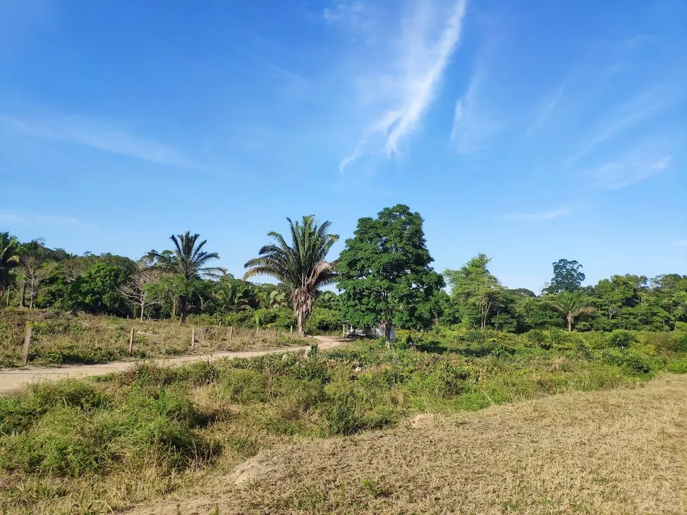 Fazenda à venda de 100 ha em Porto Velho, RO, Brasil