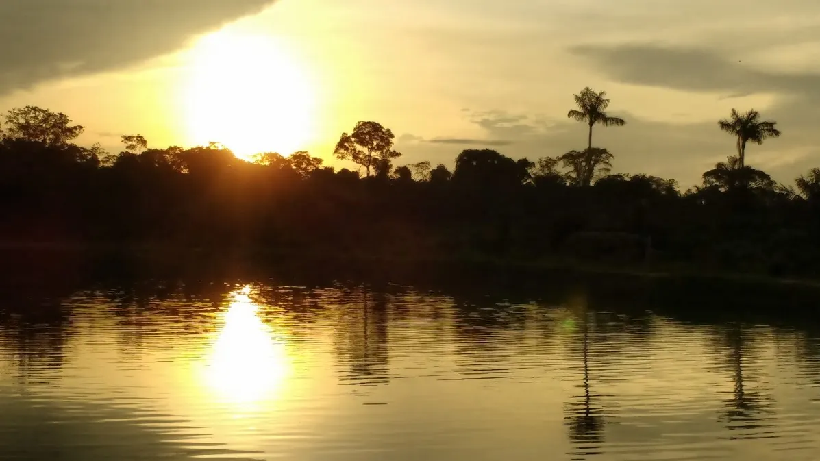 Fazenda à venda de 100 ha em Porto Velho, RO, Brasil
