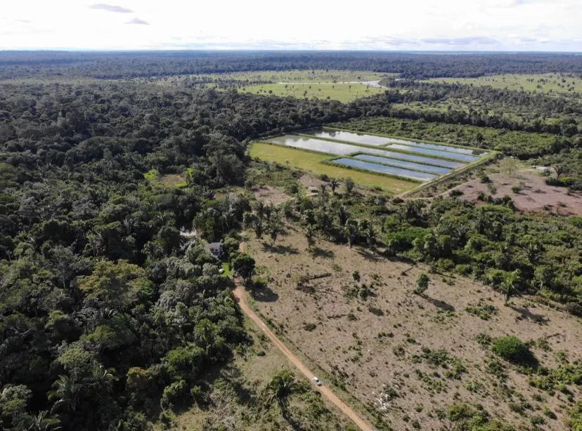 Fazenda à venda de 100 ha em Porto Velho, RO, Brasil