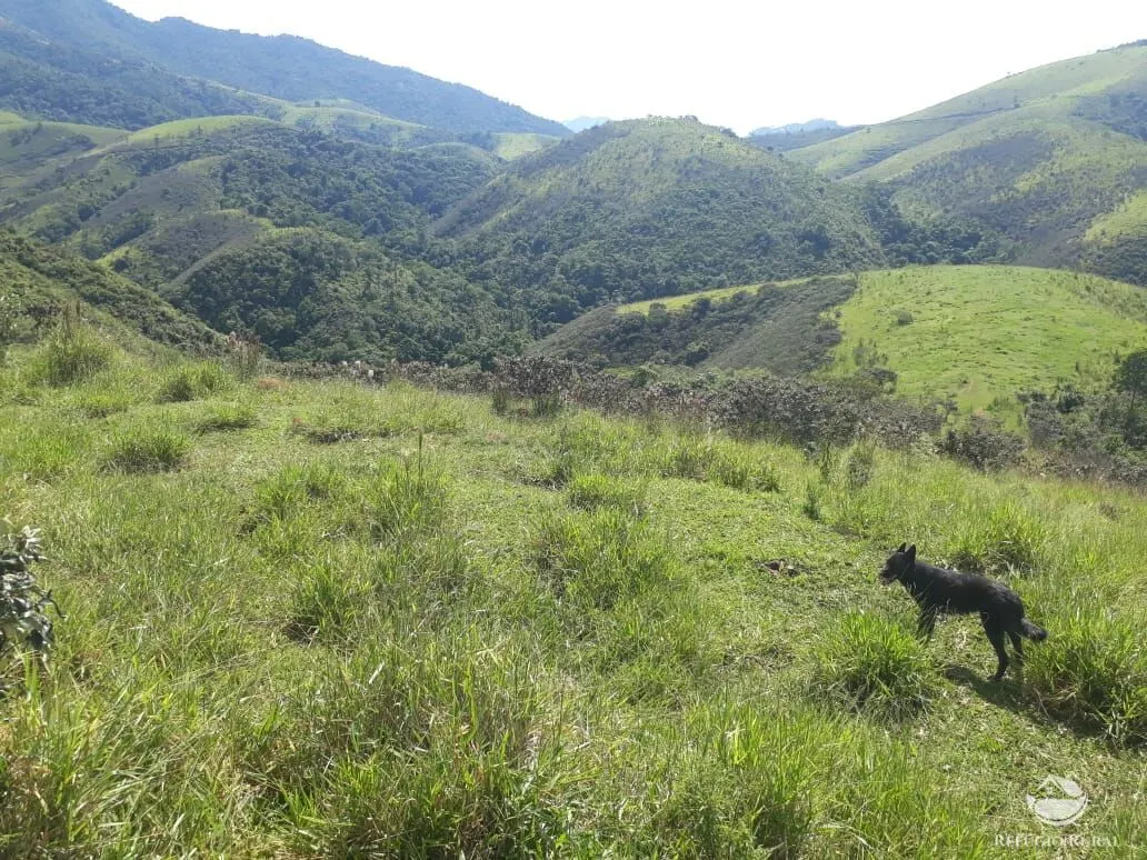 Sítio à venda de 70 ha em São José dos Campos, SP, Brasil