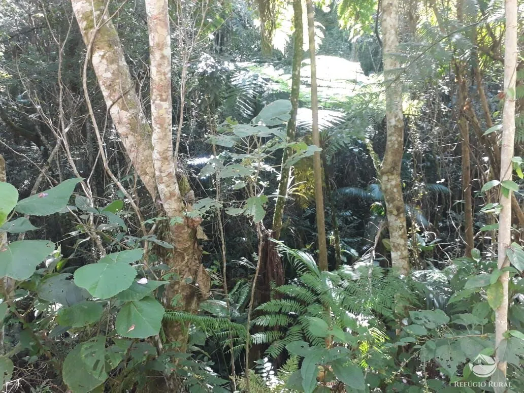 Sítio à venda de 70 ha em São José dos Campos, SP, Brasil
