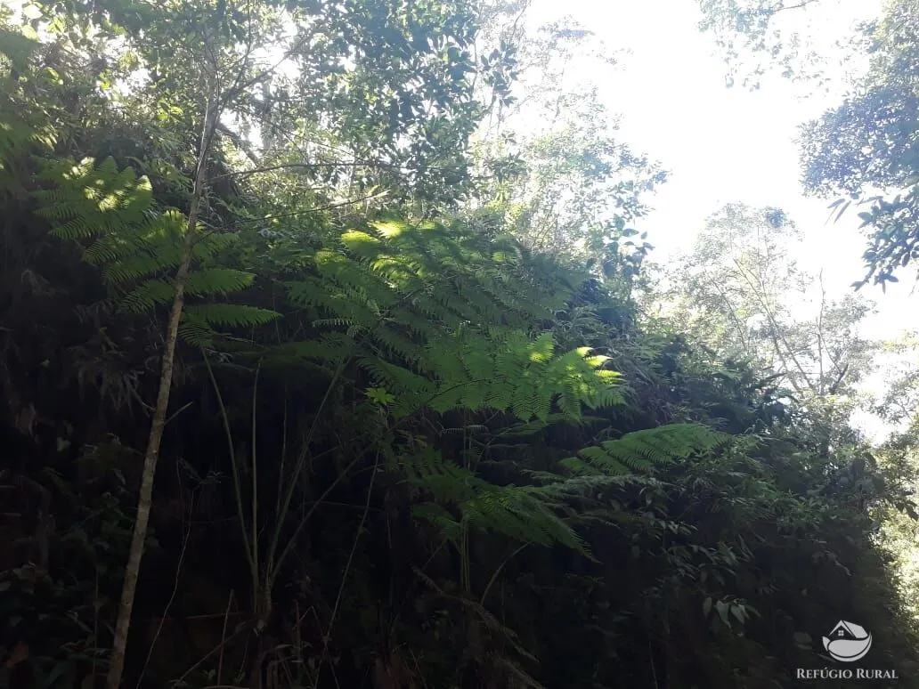 Sítio à venda de 70 ha em São José dos Campos, SP, Brasil