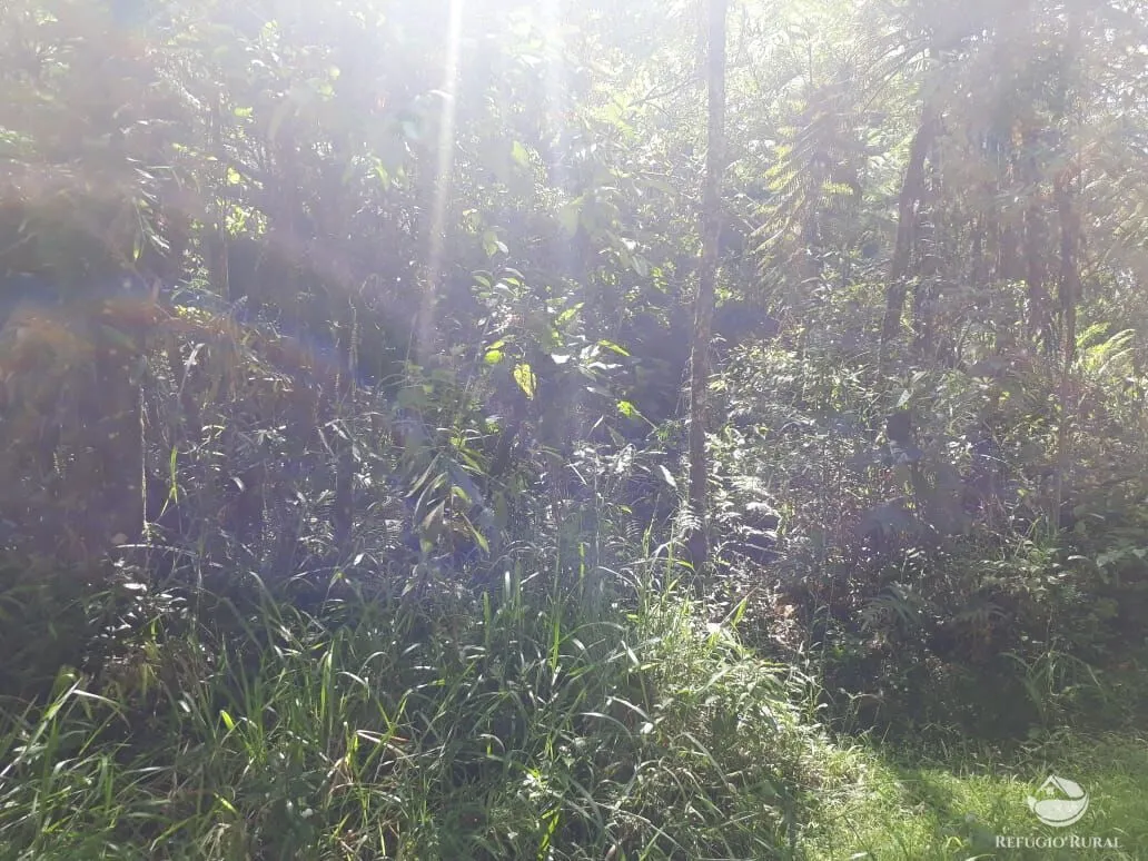 Sítio à venda de 70 ha em São José dos Campos, SP, Brasil
