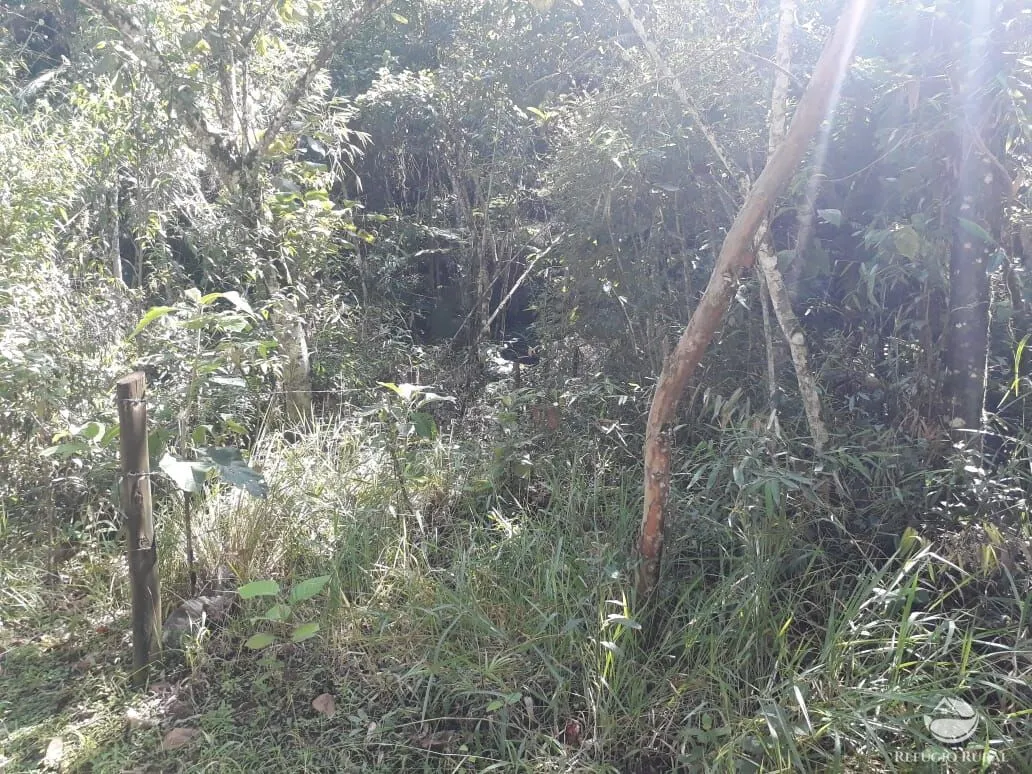 Sítio à venda de 70 ha em São José dos Campos, SP, Brasil