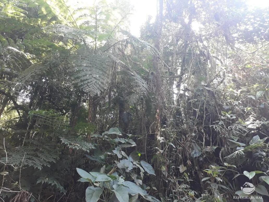 Sítio à venda de 70 ha em São José dos Campos, SP, Brasil