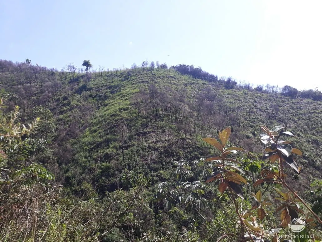 Sítio à venda de 70 ha em São José dos Campos, SP, Brasil