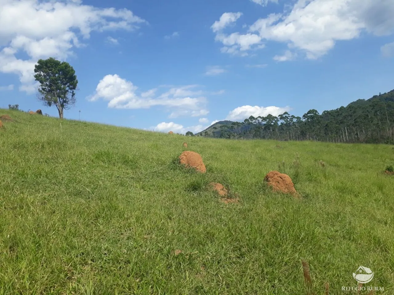 Sítio à venda de 70 ha em São José dos Campos, SP, Brasil